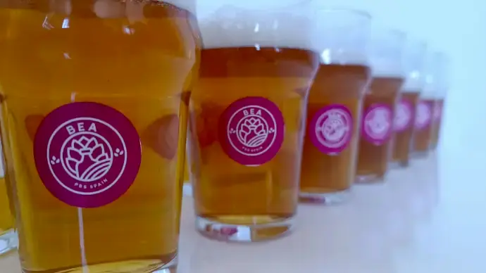 Vasos de cerveza Bea PBS Spain